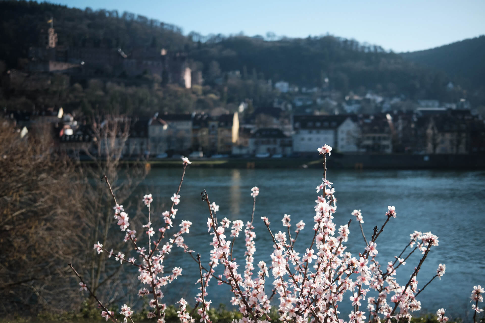 Heidelberger Kulturbrauerei Restaurant Heidelberg Altstadt